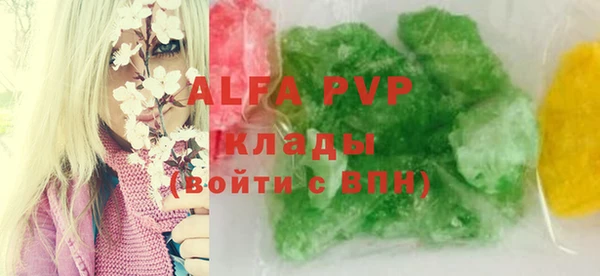хмурый Аркадак