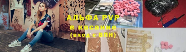 хмурый Аркадак