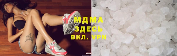 хмурый Аркадак