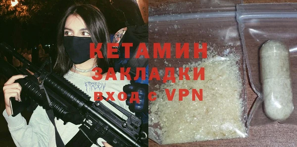 хмурый Аркадак