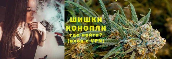 хмурый Аркадак