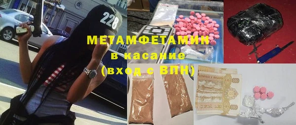 хмурый Аркадак