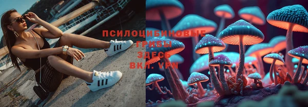 прущая мука Армянск